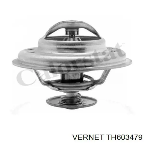 Купити TH603479 Vernet Термостат в корпусі