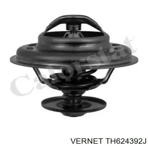 Купити TH624392J Vernet Термостат в корпусі