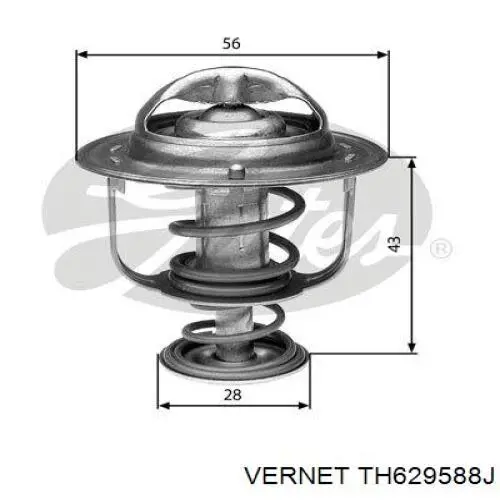 Термостат TH629588J Vernet