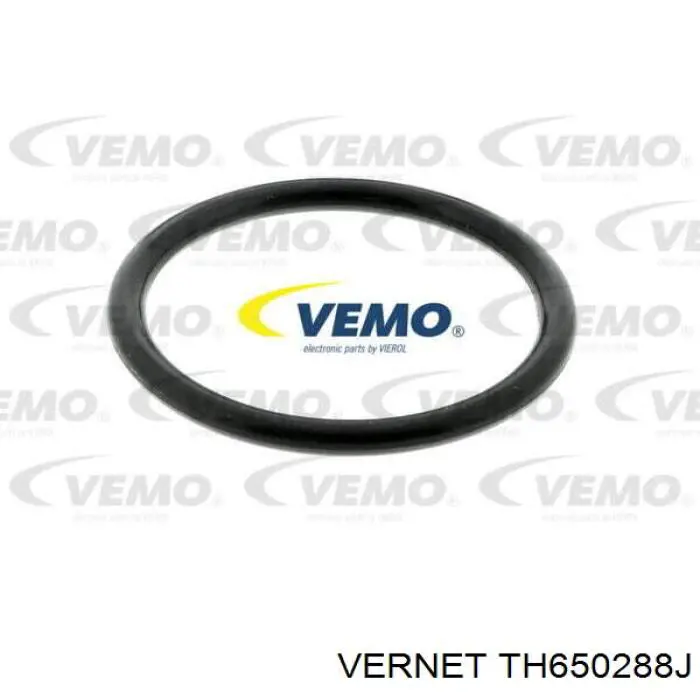 Термостат в зборі Vernet TH650288J