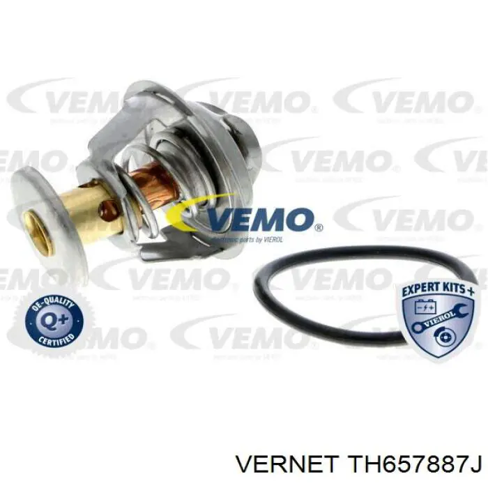 Купити TH657887J Vernet Термостат в корпусі