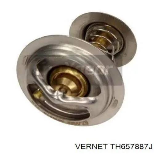 Термостат TH657887J Vernet