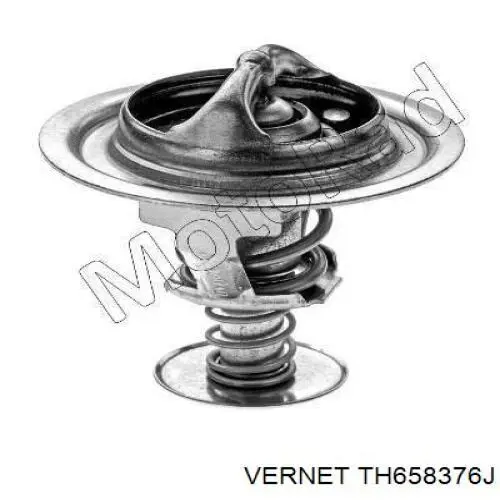 Купити TH658376J Vernet Термостат в корпусі