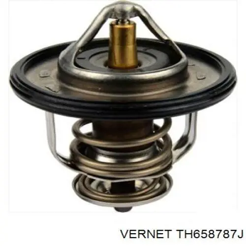 Купити TH658787J Vernet Термостат в корпусі