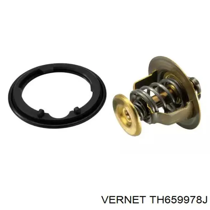 Термостат в зборі Vernet TH659978J