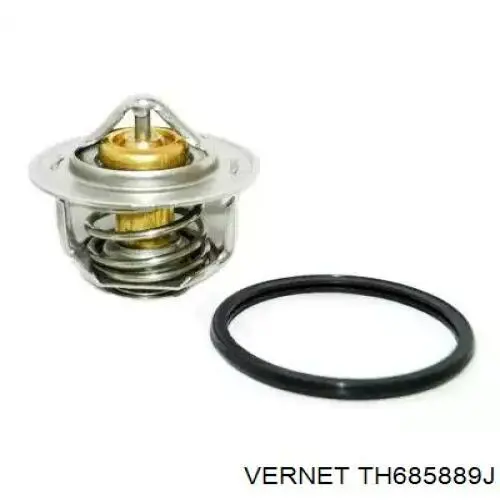 Купити TH685889J Vernet Термостат в корпусі