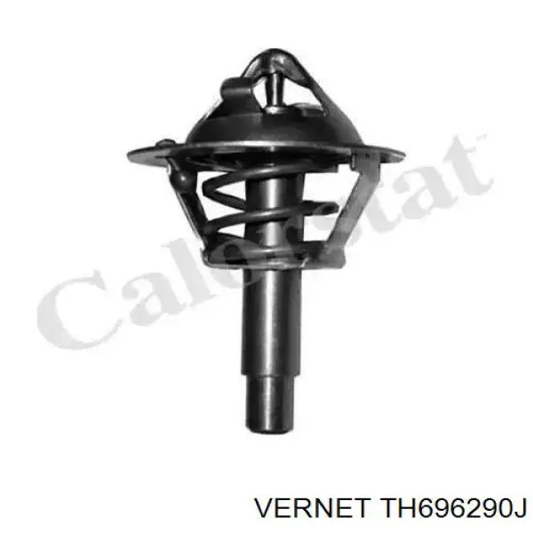 Купити TH696290J Vernet Термостат в корпусі