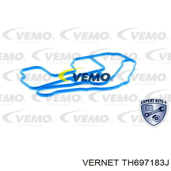 Кожух термостата Vernet TH697183J ціна, від 45.05 USD