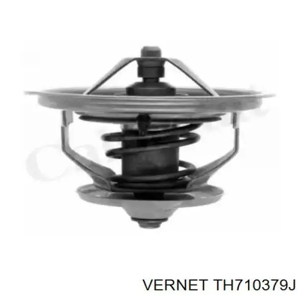 Купити TH710379J Vernet Термостат в корпусі