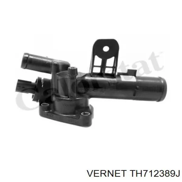 Купити TH712389J Vernet Термостат в корпусі