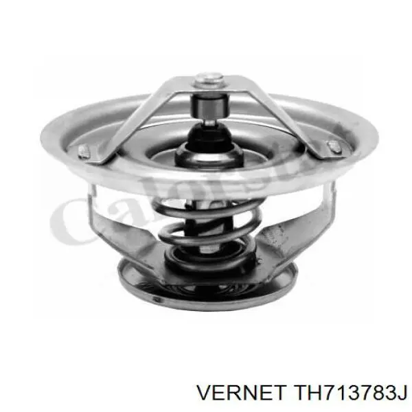 Купити TH713783J Vernet Термостат в корпусі