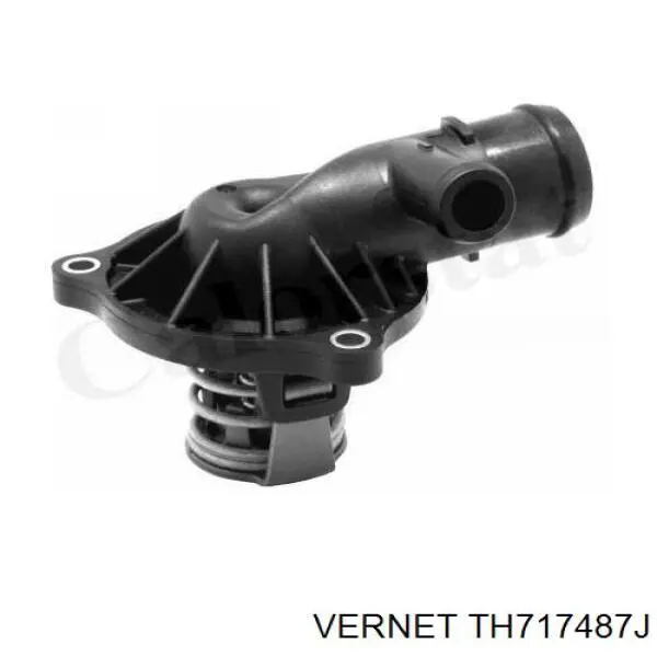 Купити TH717487J Vernet Термостат в корпусі