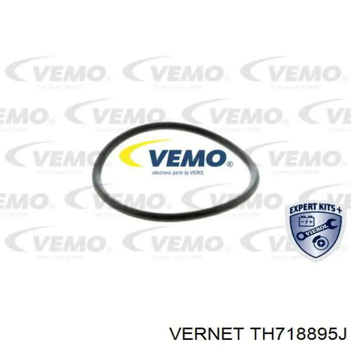 Термостат TH718895J Vernet