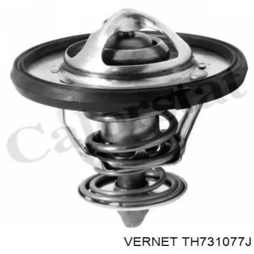 TH731077J Vernet Авто термостат