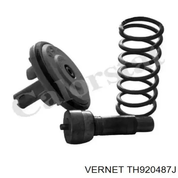 Купити TH920487J Vernet Термостат в корпусі