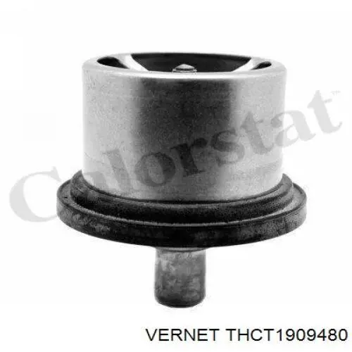 Термостат THCT1909480 Vernet