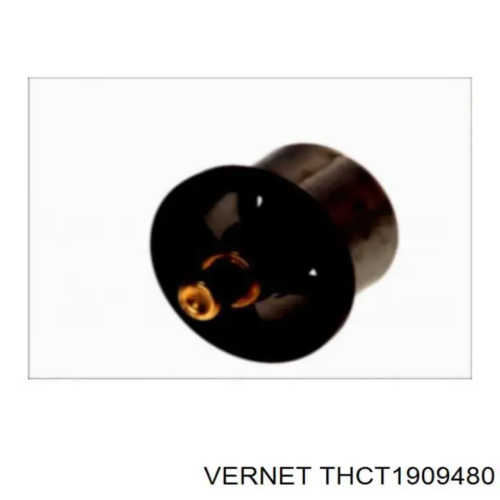 THCT1909480 Vernet Авто термостат