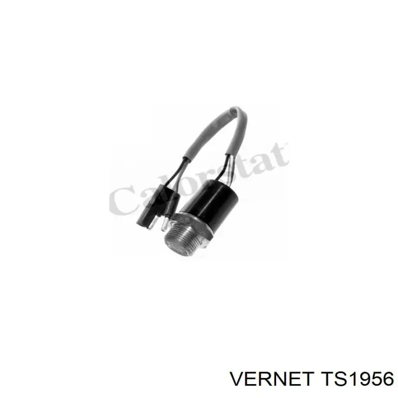 Датчик температури радіатора Vernet TS1956 ціна, від 16.65 USD