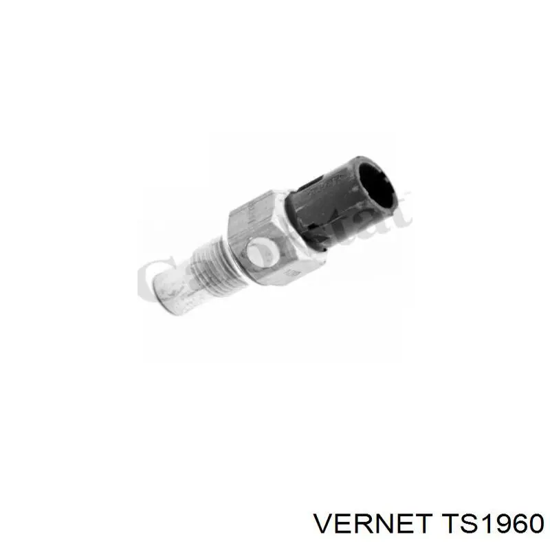 Купити TS1960 Vernet Датчик включення вентилятора