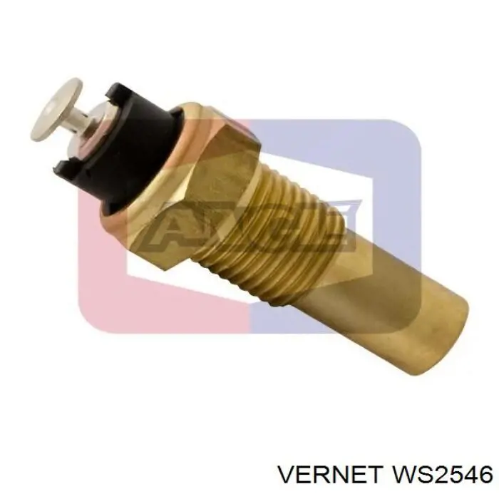 Купити WS2546 Vernet Датчик температури охолоджуючої рідини
