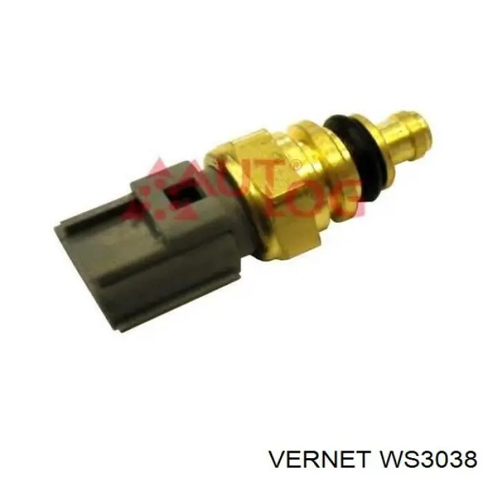 WS3038 Vernet датчик температури охолоджуючої рідини