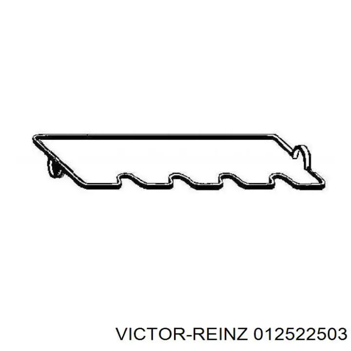 012522503 Victor Reinz комплект прокладок двигуна, повний