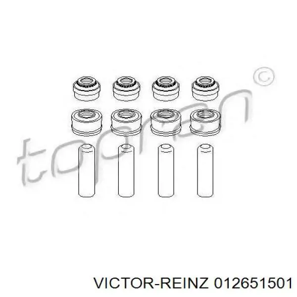 Комплект прокладок 12651501 Victor Reinz