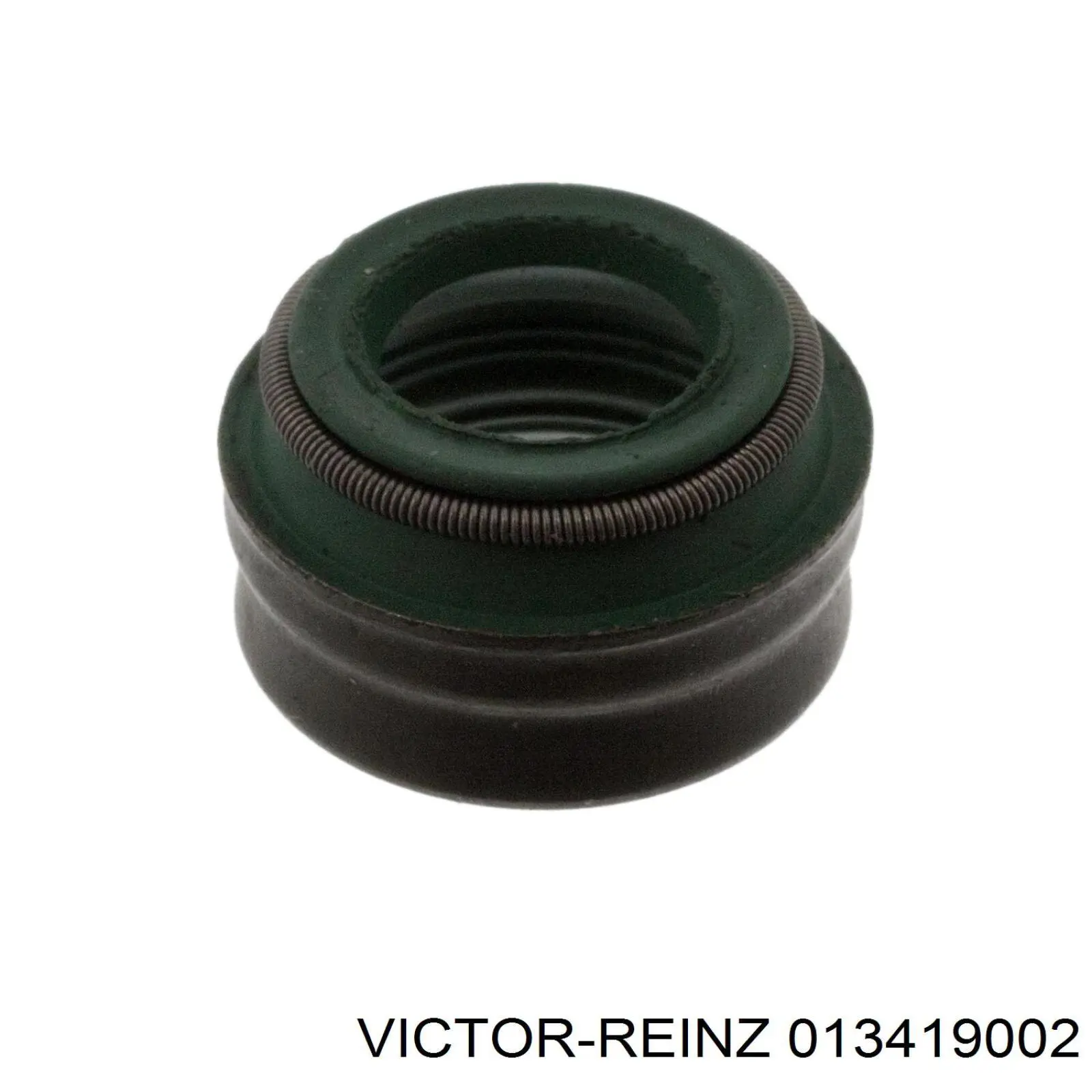 Купити 013419002 Victor Reinz Комплект прокладок