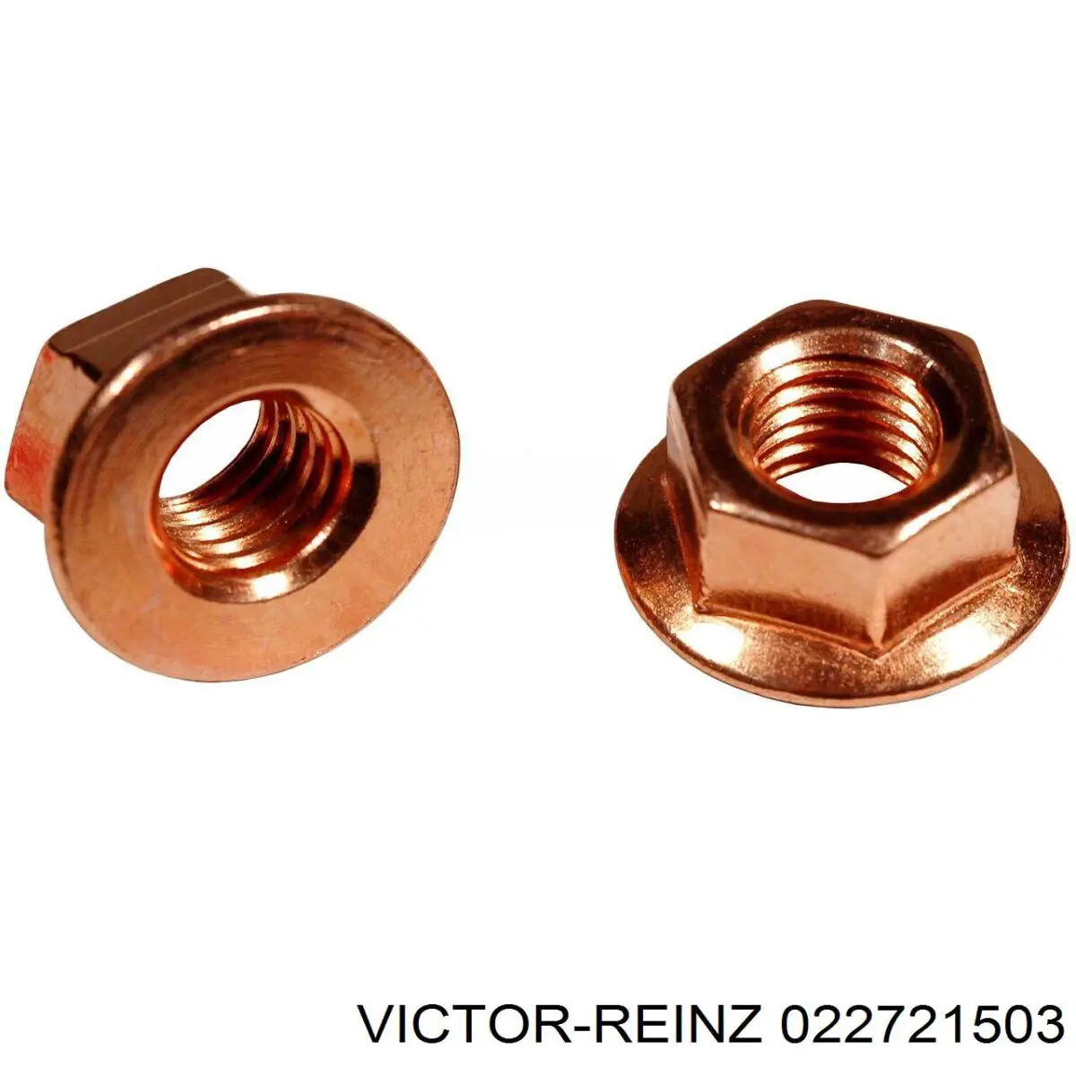 Комплект прокладок двигуна, верхній 022721503 Victor Reinz