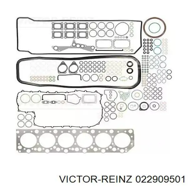 022909501 Victor Reinz комплект прокладок двигуна, верхній