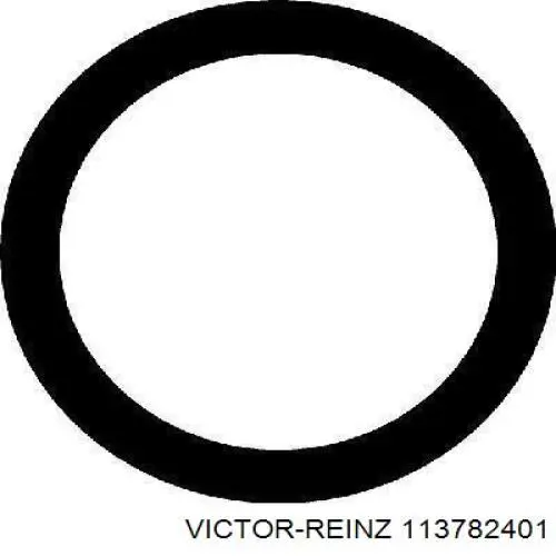 113782401 Victor Reinz Прокладка впускного колектора