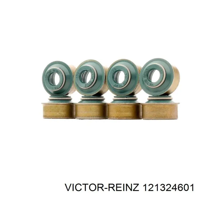 121324601 Victor Reinz 