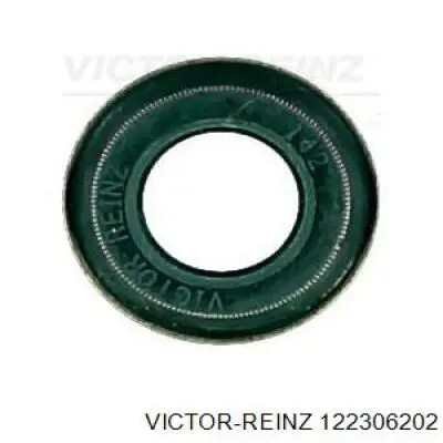 122306202 Victor Reinz сальник клапана (маслознімний, впуск/випуск, комплект на мотор)