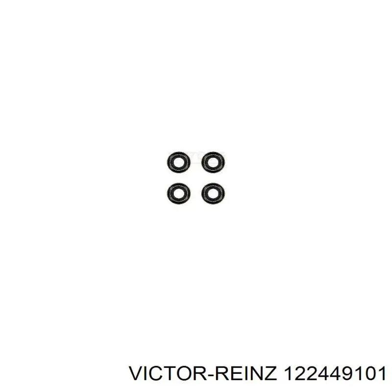 122449101 Victor Reinz сальник клапана (маслознімний, впуск/випуск, комплект на мотор)