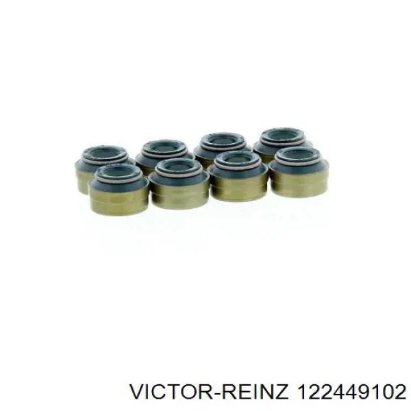 122449102 Victor Reinz сальник клапана (маслознімний, впуск/випуск, комплект на мотор)