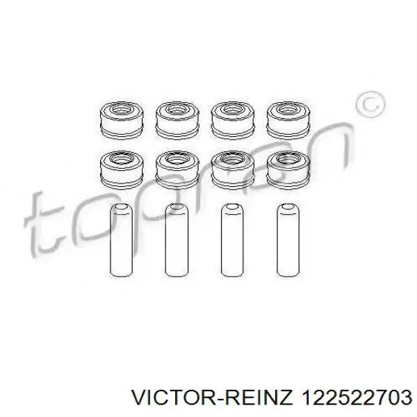 122522703 Victor Reinz сальник клапана (маслознімний, впуск/випуск, комплект на мотор)
