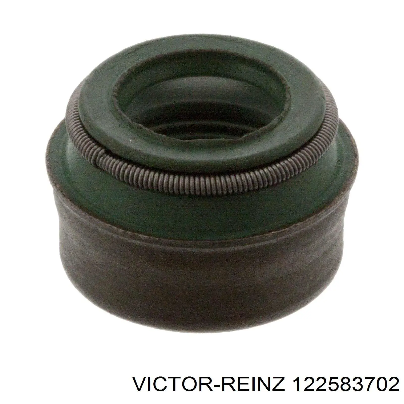 122583702 Victor Reinz сальник клапана (маслознімний, впуск/випуск, комплект на мотор)
