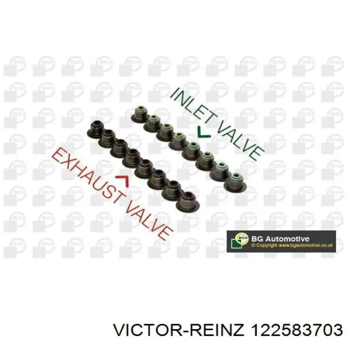 122583703 Victor Reinz сальник клапана (маслознімний, впуск/випуск, комплект на мотор)
