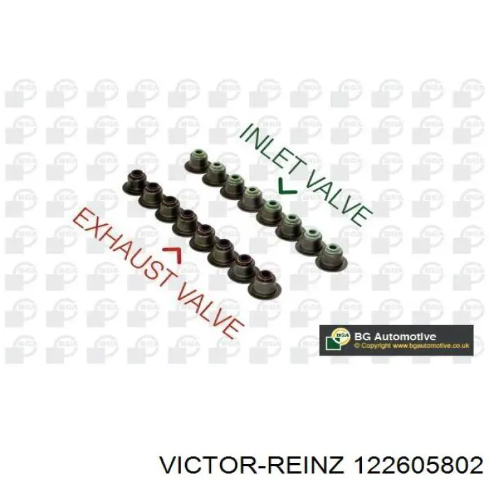 122605802 Victor Reinz сальник клапана (маслознімний, впуск/випуск, комплект на мотор)