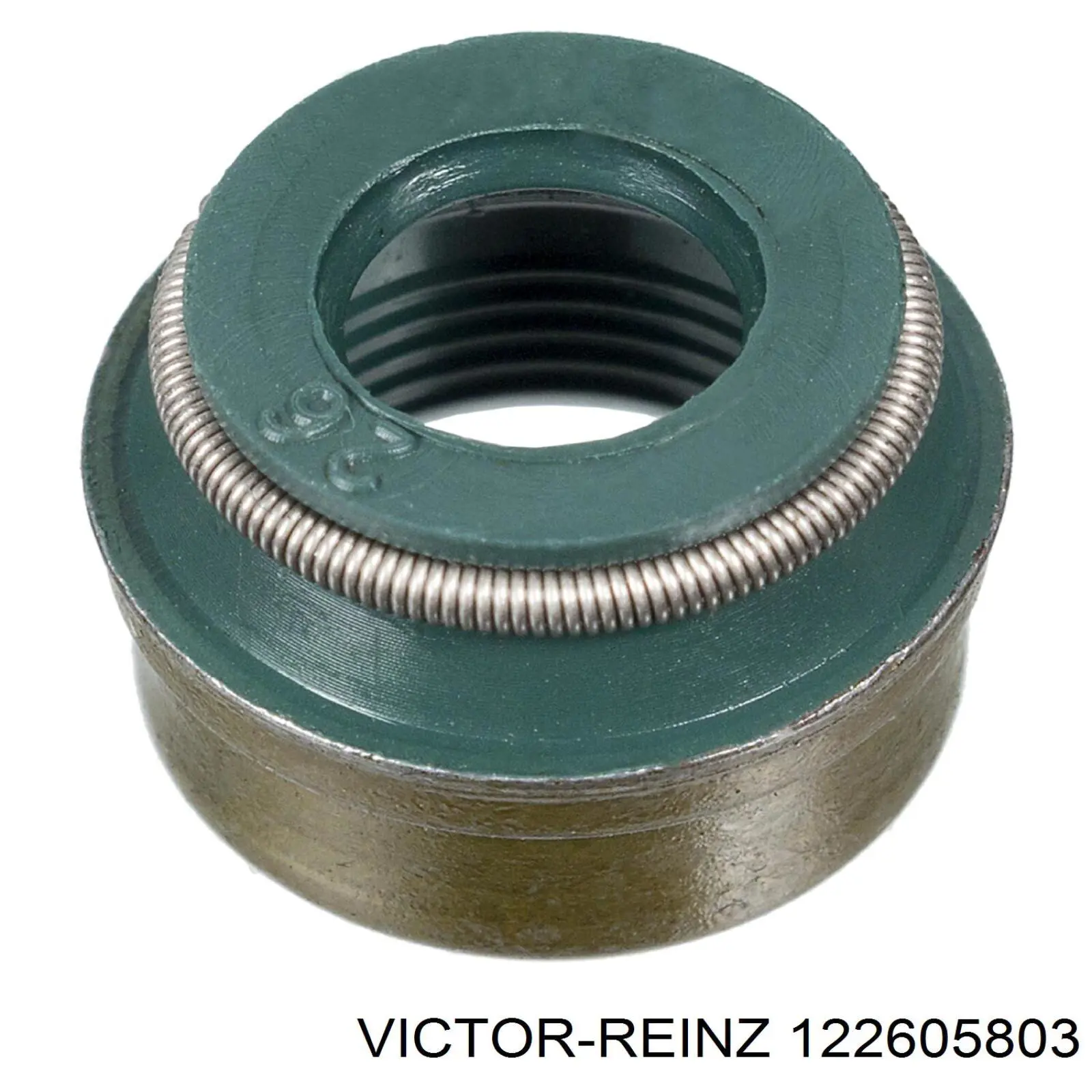 122605803 Victor Reinz сальник клапана (маслознімний, впуск/випуск, комплект на мотор)