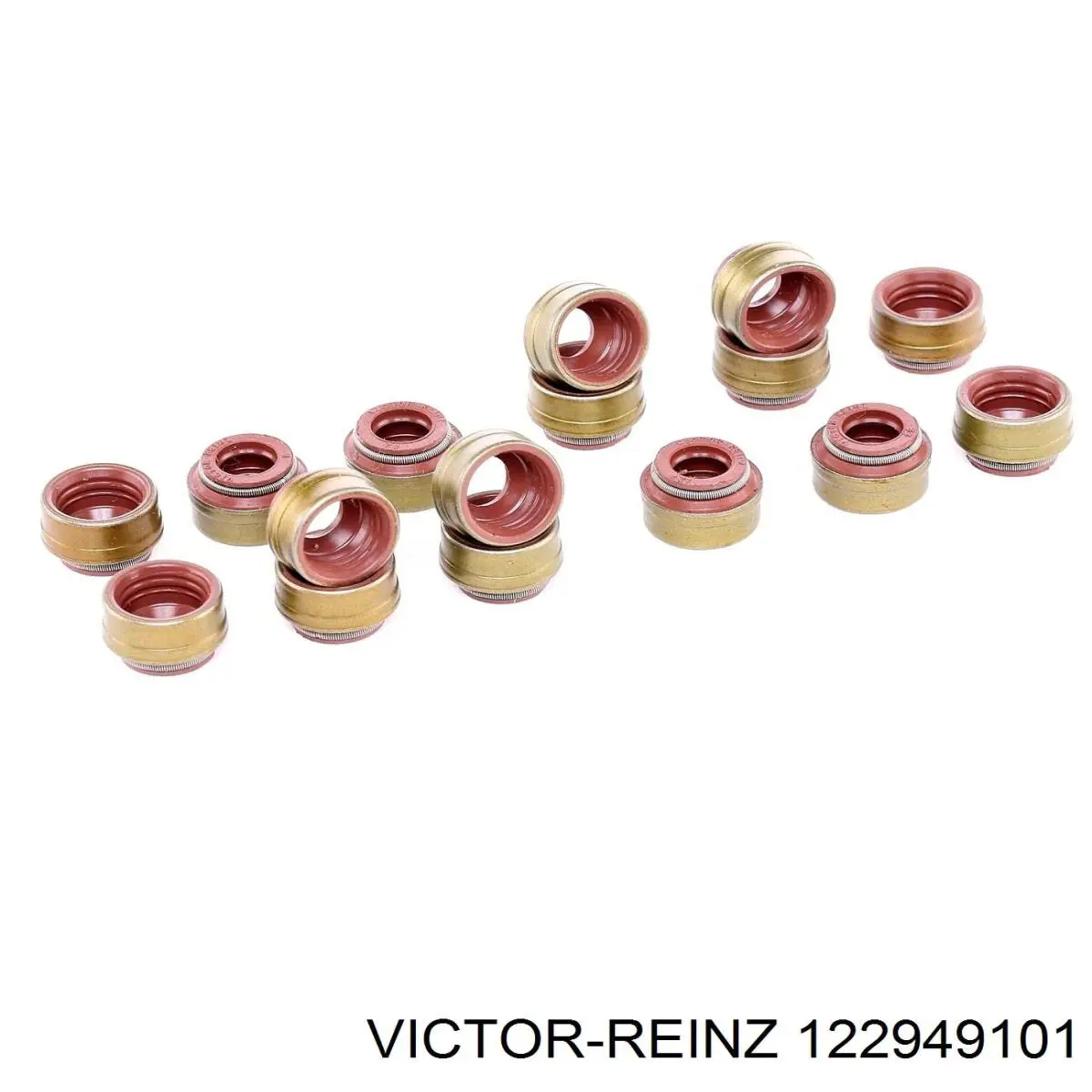 122949101 Victor Reinz сальник клапана (маслознімний, впуск/випуск, комплект на мотор)
