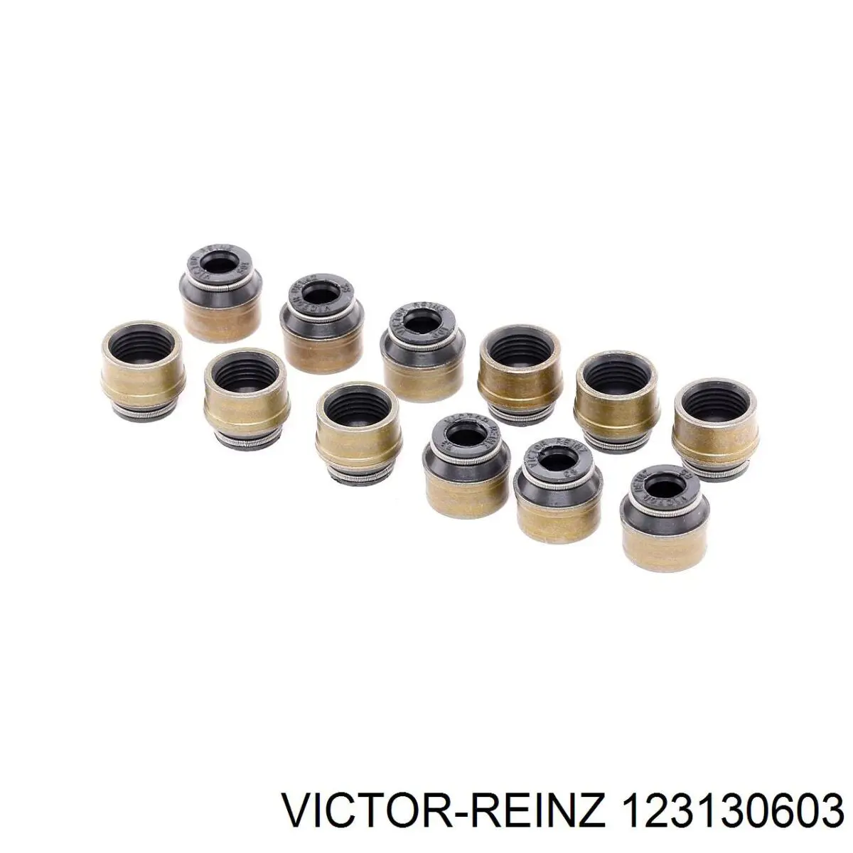 123130603 Victor Reinz сальник клапана (маслознімний, впуск/випуск, комплект на мотор)