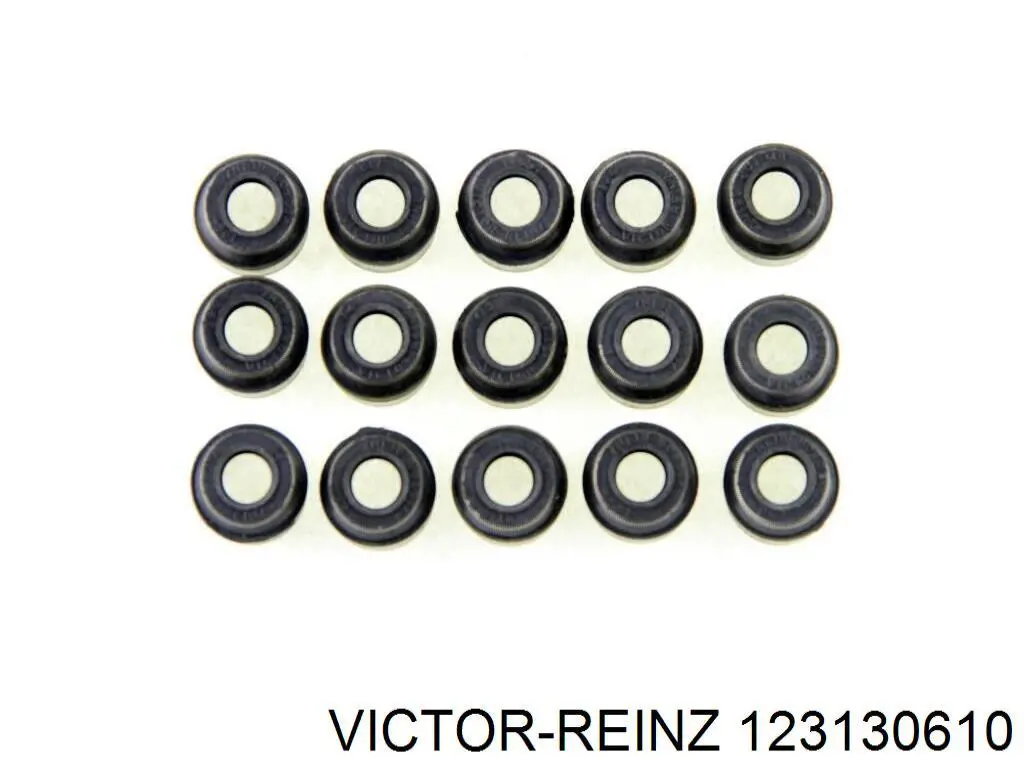 123130610 Victor Reinz сальник клапана (маслознімний, впуск/випуск, комплект на мотор)