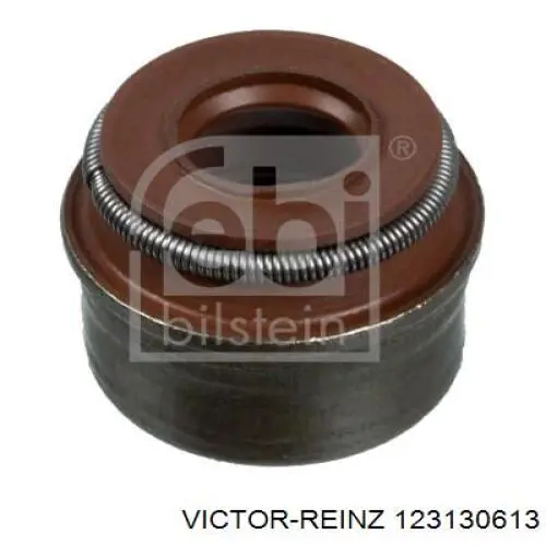 123130613 Victor Reinz сальник клапана (маслознімний, впуск/випуск, комплект на мотор)