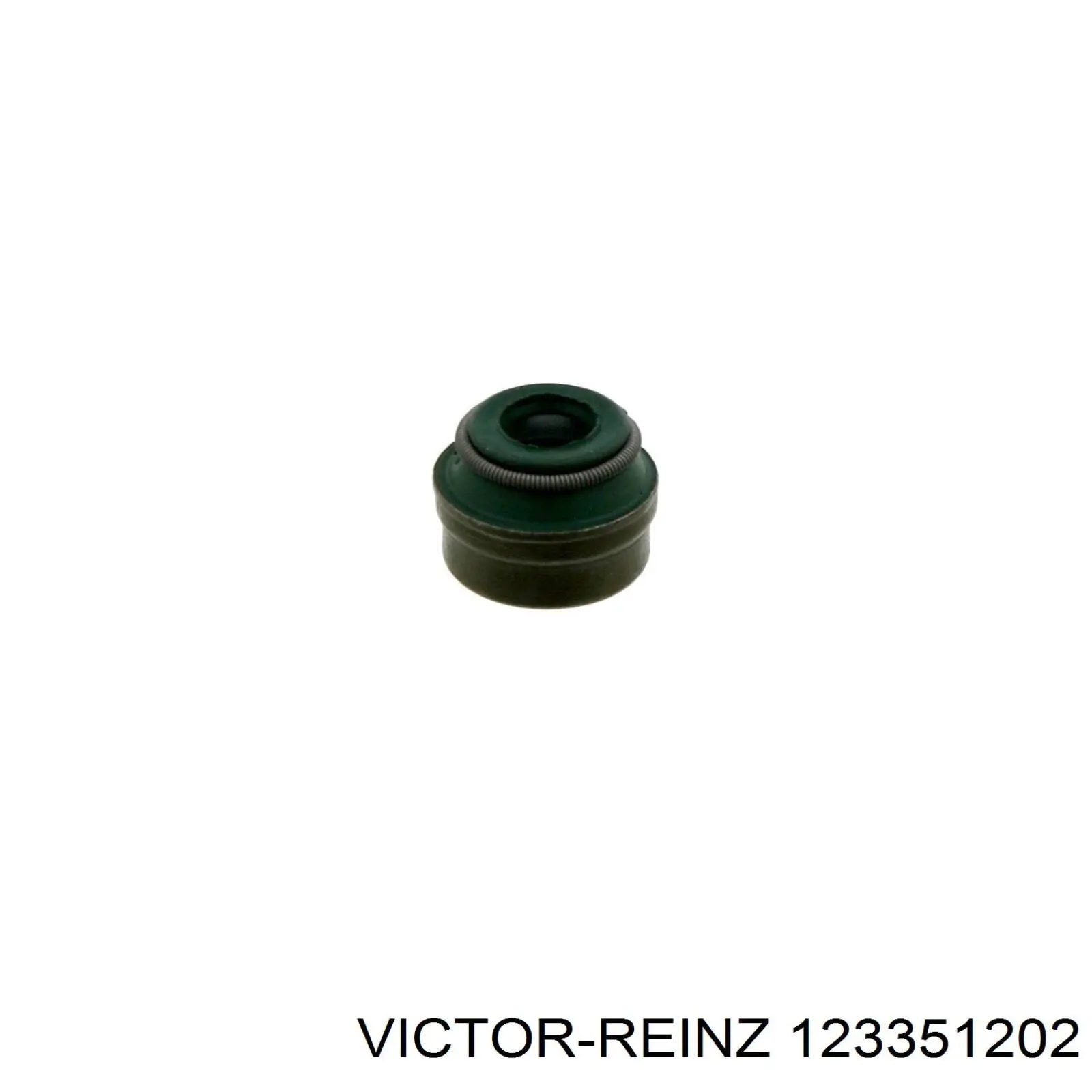 Купити 123351202 Victor Reinz Сальник клапана (маслознімний), впуск/випуск, комплект на мотор