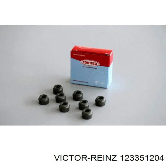 123351204 Victor Reinz сальник клапана (маслознімний, впуск/випуск, комплект на мотор)