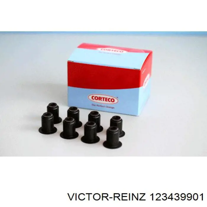 123439901 Victor Reinz сальник клапана (маслознімний, впускного, комплект)