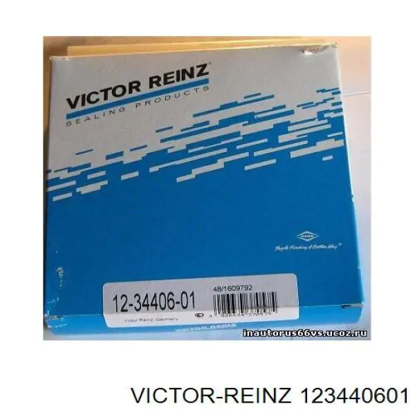 123440601 Victor Reinz сальник клапана (маслознімний, впуск/випуск, комплект на мотор)