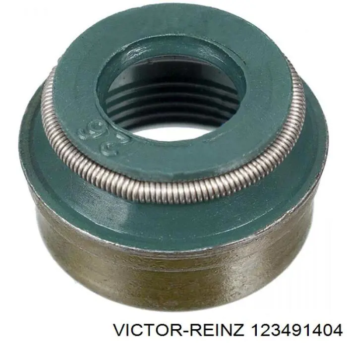 123491404 Victor Reinz сальник клапана (маслознімний, впуск/випуск, комплект на мотор)