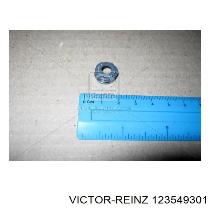 123549301 Victor Reinz сальник клапана (маслознімний, впуск/випуск, комплект на мотор)